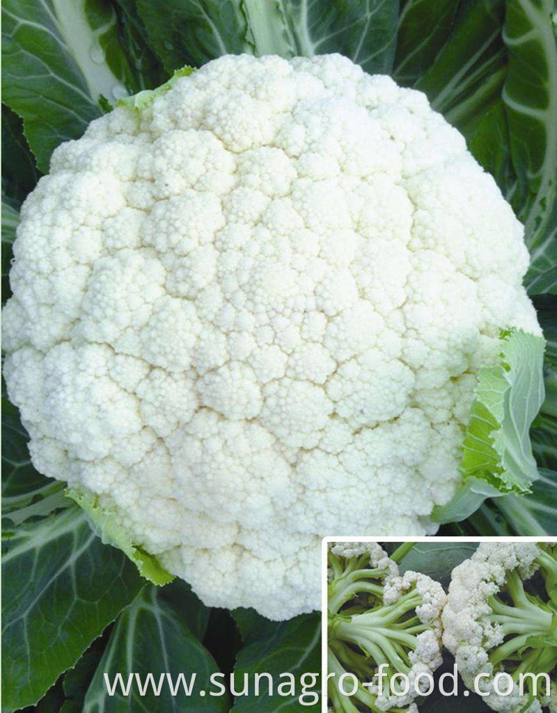 High Quality Cauliflower